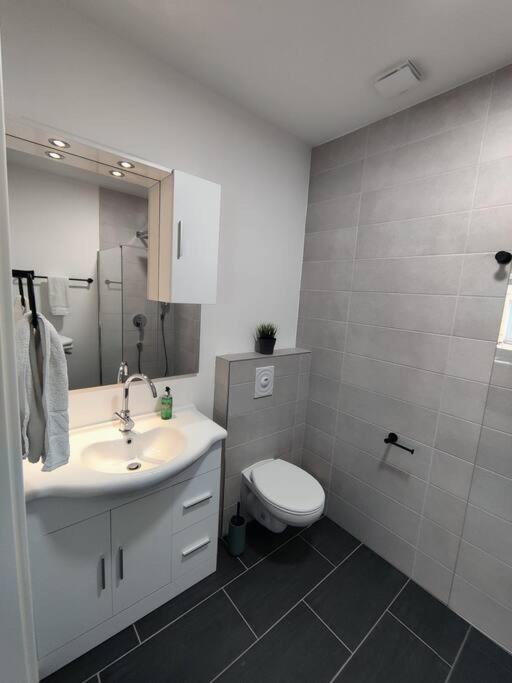 Amstetten Penthouse Extérieur photo